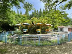 -水杉园
