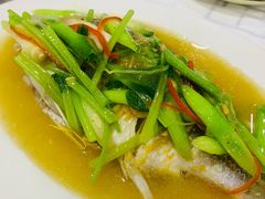 豆酱黄墙鱼-潮州菜馆(十里河店)