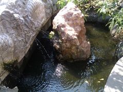 -幸福姐海鲜大排档