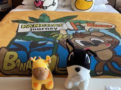 -上海崇明金茂凯悦酒店