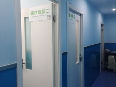 -顺强宠物诊所·狂犬免疫·夜诊·骨科(嘉定店)