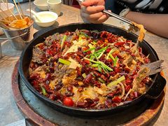 -老板恋上鱼(恒隆广场店)