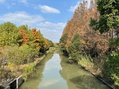 -上海长兴岛郊野公园