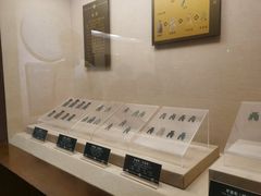-青岛市博物馆