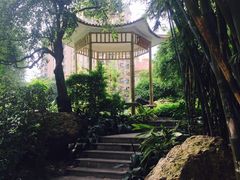 -晓港公园