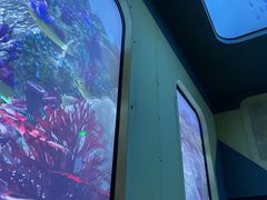 -珠海横琴国家地理探险家中心(创新方)