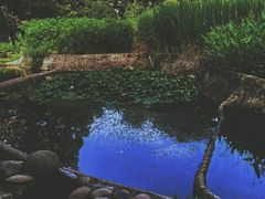 -成都市活水公园