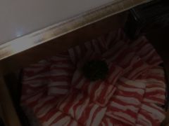 -洪氏嗨捞·猪肚鸡火锅(阳光天地店)