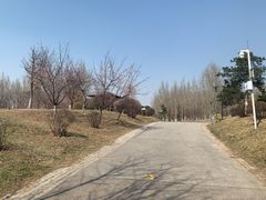 -莫子山公园