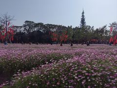 -海珠湖公园
