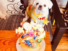 -苹果树下艺术餐厅(通州店)