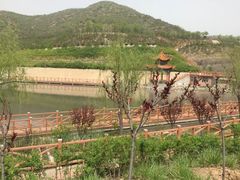-五龙城郊森林公园