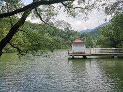 -天花井景区