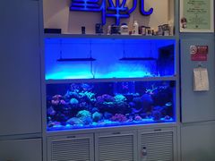 -KIDults童伴儿亲子餐厅(达美中心广场店)