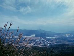 -大姆山草场