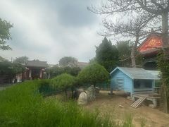 -有喜胶东小馆(超极合生汇太申祥和店)