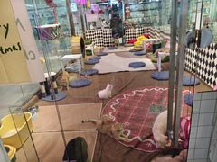 -大型宠物商超·宠海王国·宠物猫狗活体·用品·美容(新世界百货重庆店)