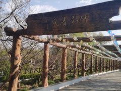 -南汇桃花村