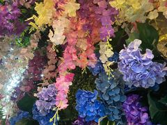 -正佳雨林生态植物园