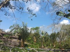 -海南热带野生动植物园