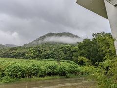 -广州市石门国家森林公园