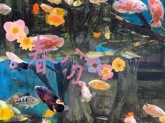 -顺德南宏海立方海洋公园