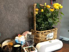 -秦美花卉(天朗·莱茵小城2期店)