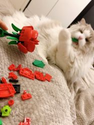 -乐高授权专卖店(新北万达店)