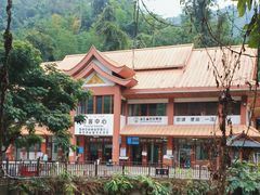 -西双版纳原始森林公园