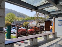 -南京老山国家森林公园