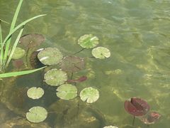 -山东省千佛山医院
