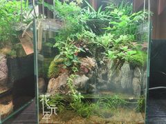 -扶摇湘宴·烤鸭·湘粤宴(中关村·北大店)