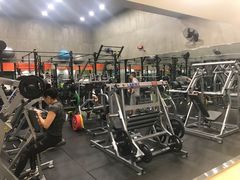 -健身专家Wellness Experts