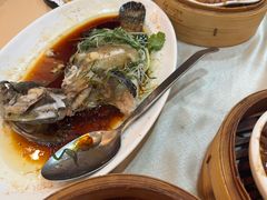 -益健美食大广场(北岭店)
