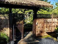 -上海植物园-4号门售票处