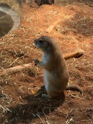 -Zoolung Zoolung动物主题公园(海信广场店)