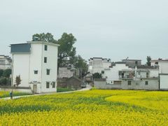 -新安江山水画廊风景区