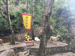 -驼梁风景区