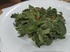 果粒冰草-九十九顶毡房(阜石路店)