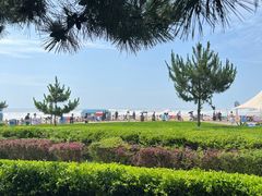 -青岛金沙滩