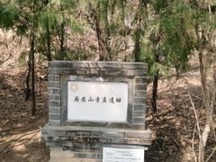 -府君山公园