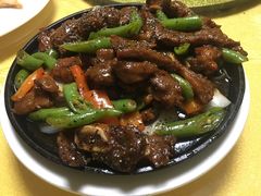 -丁老爷子苏香圆