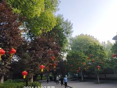 -丰台花园