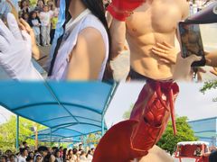 -海合安武汉极地海洋公园