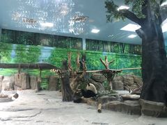 -灵玲国际马戏城