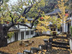 -遵化市禅林寺古银杏风景园