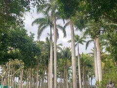 -万绿园