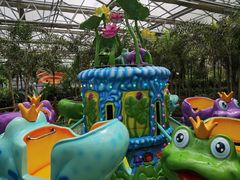 -南宫五洲植物乐园