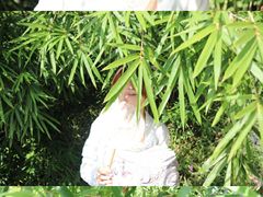 -柒闲月摄影工作室
