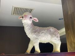 -七百岁羊肉馆(环球港店)